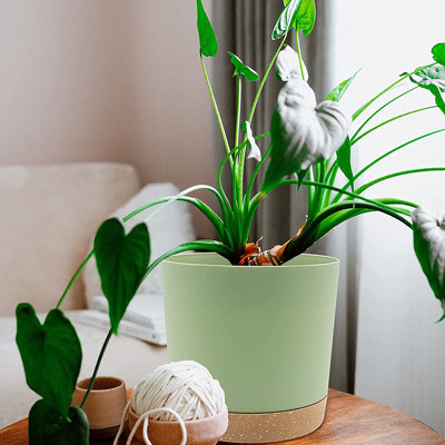 Innengrüne PlastikBlumentöpfe mit Entwässerungs-Löchern und entfernbarer Basis