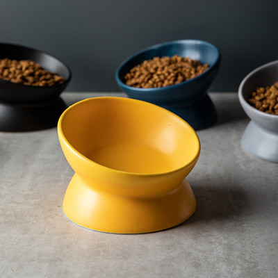 Keramisches gezüchtetes Cat Bowls Elevated Porcelain For-Mehrfarbenhaustier