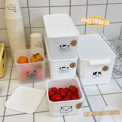 Plastikmassenküche liefert die Obst- und GemüseBehälter für Kühlschrank