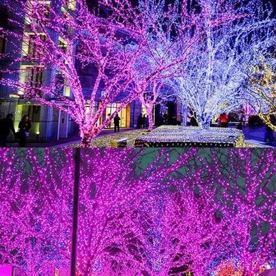 20m angetriebene wasserdichte LED Weihnachtsketten-Solarlichter für Partei-Hochzeits-Dekoration